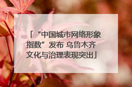 “中国城市网络形象指数”发布 乌鲁木齐文化与治理表现突出